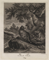 KG 01077
          <br/>
          Entwurf einiger Thiere. Fünfter Theil. (18 bladen)
          <br/>
          <em>Ridinger, Johann Elias (1698-1767)</em>